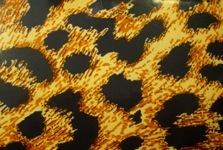 metal custom animal print finish